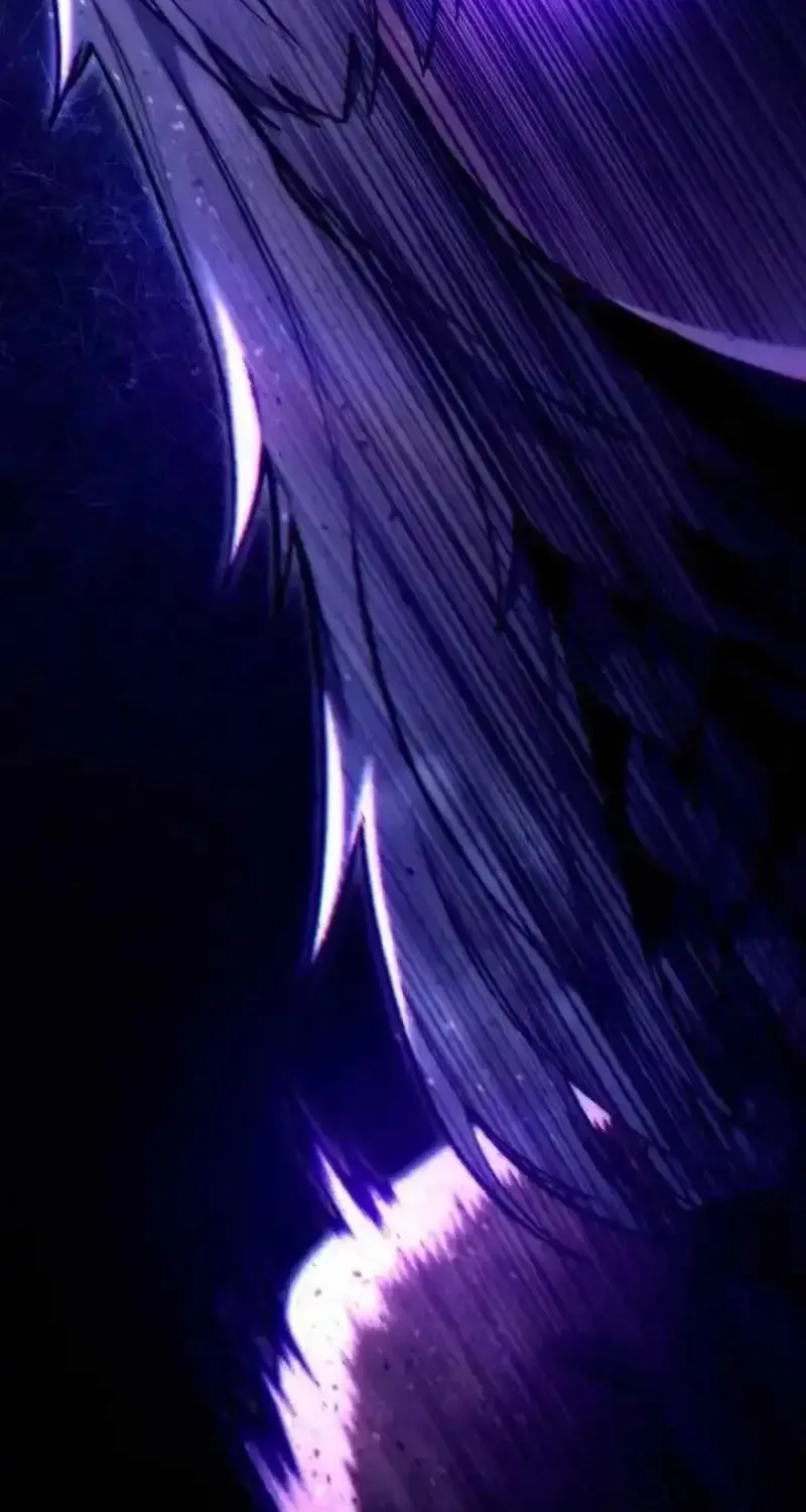 0d0f9ce58e81