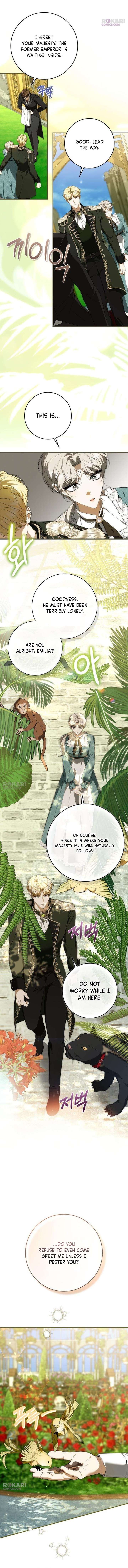ch 29 11