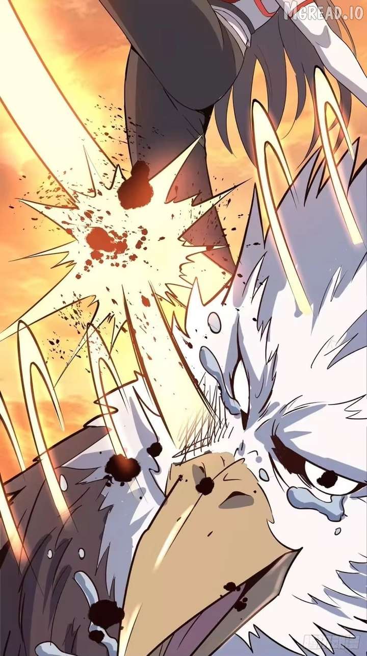 ch 113 20