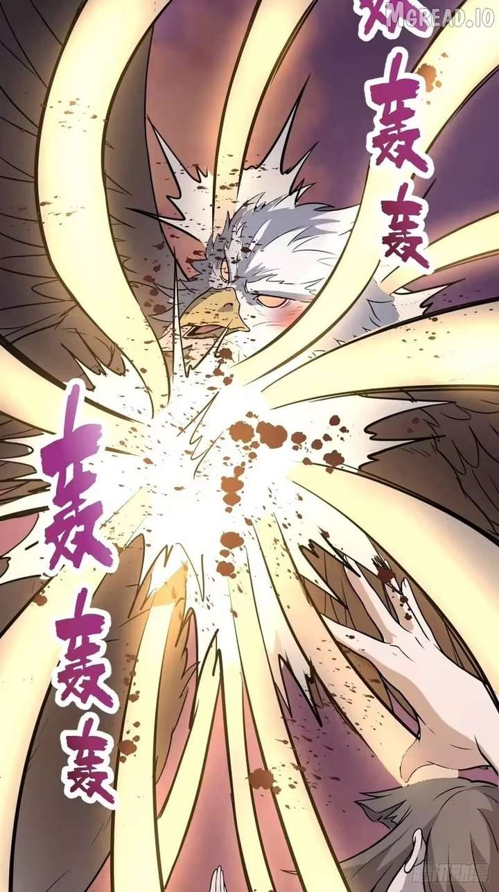ch 113 28