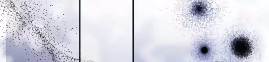 e9ae1d074eef