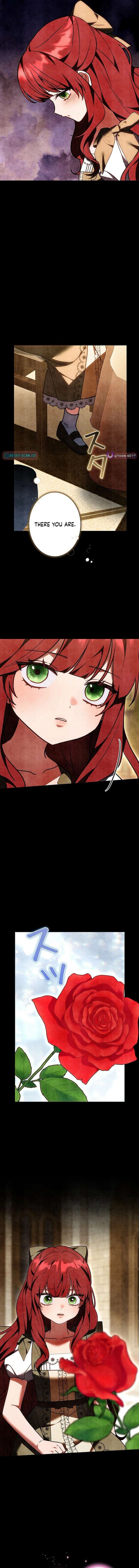 I Was Supposed to Be a Stalker Lady, but Somehow I’m Being Adored Instead Chapter 36 81 ch 36 15