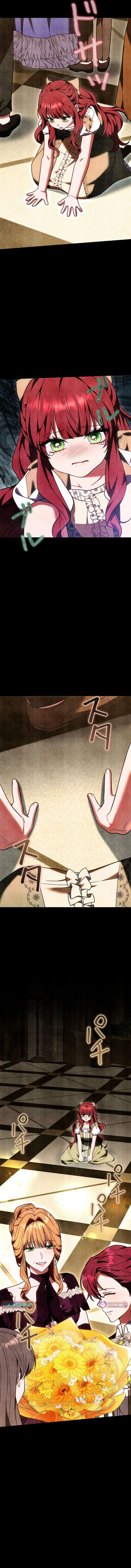 I Was Supposed to Be a Stalker Lady, but Somehow I’m Being Adored Instead Chapter 36 72 ch 36 6