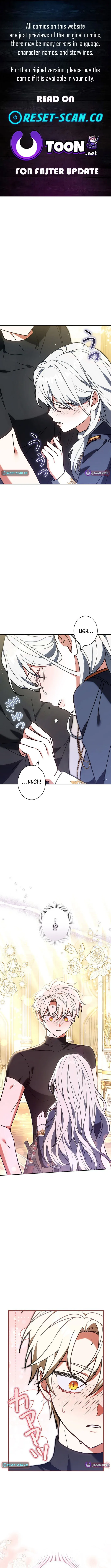 I Was Supposed to Be a Stalker Lady, but Somehow I’m Being Adored Instead Chapter 37 50 1