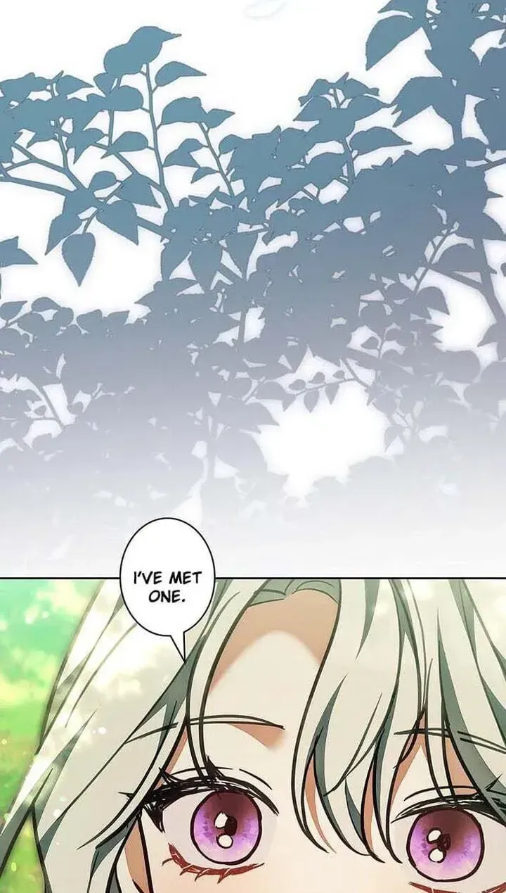 I Was Supposed to Be a Stalker Lady, but Somehow I’m Being Adored Instead Chapter 42 426 037 result