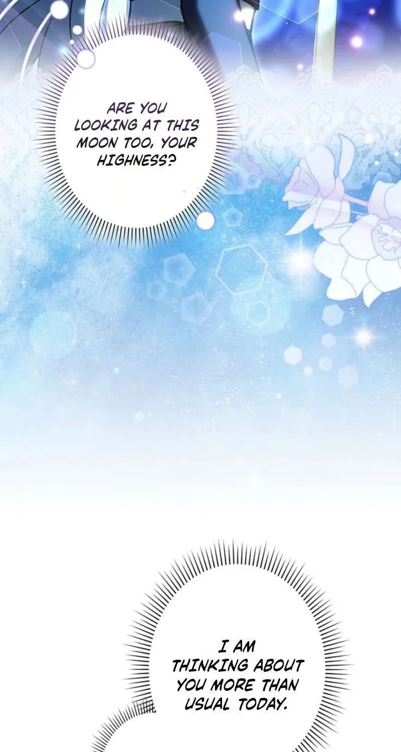 8c94c1291cc6 41