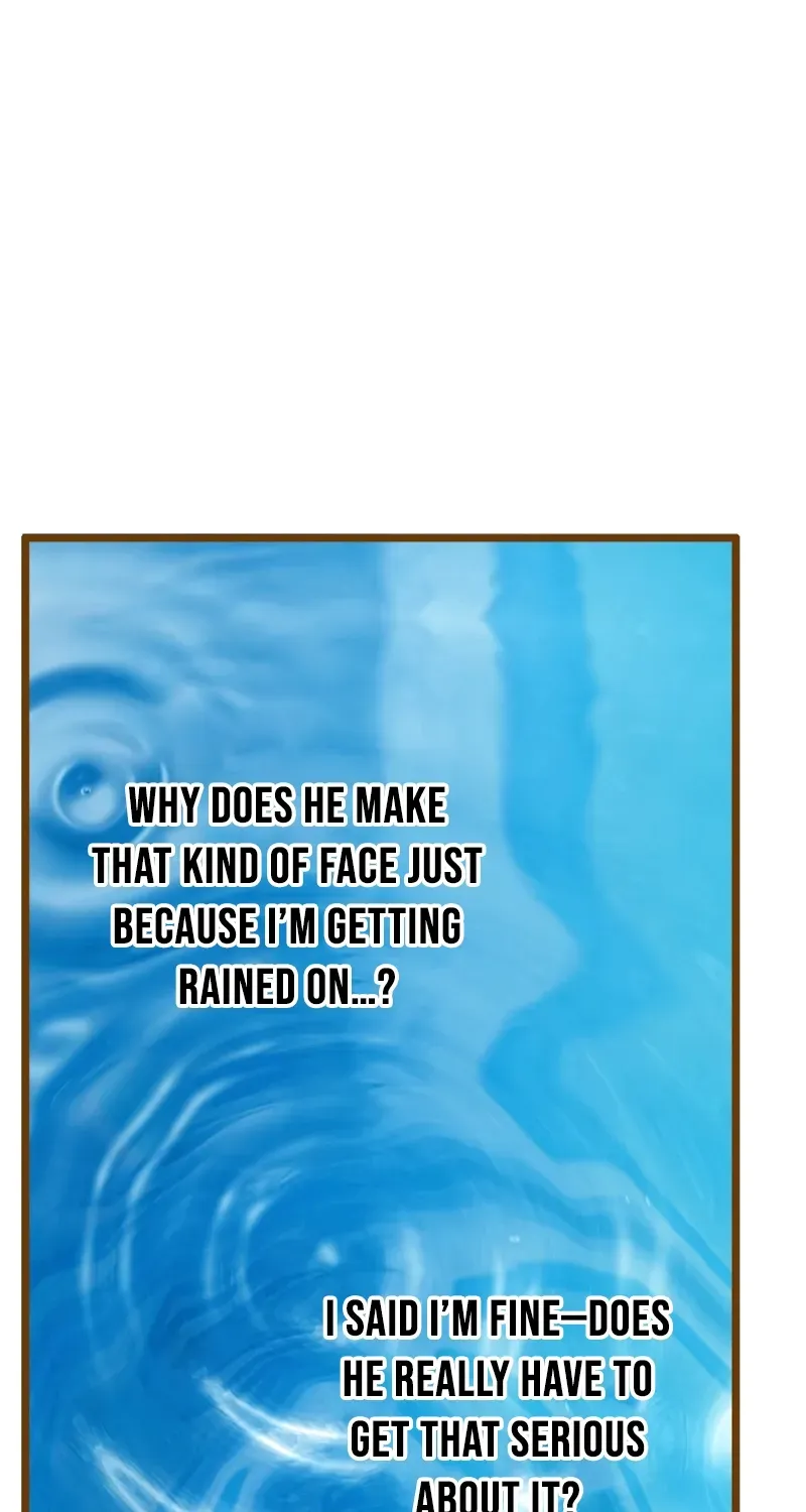 b53c7223e67a