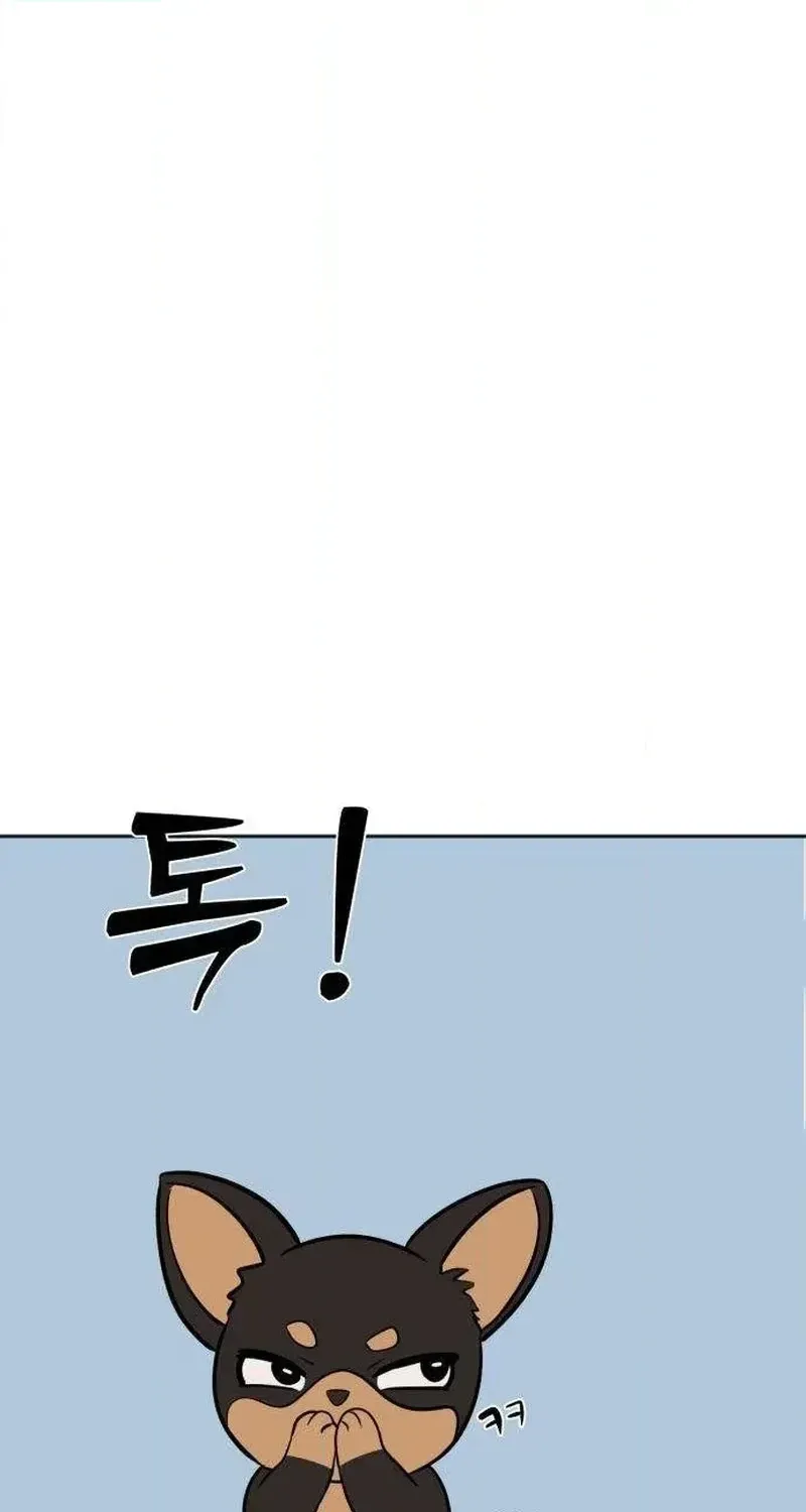 11e83bc4115c