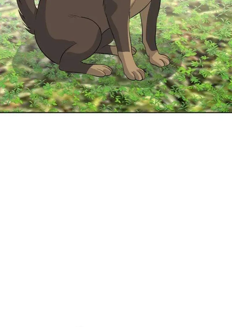 5266e13fec09