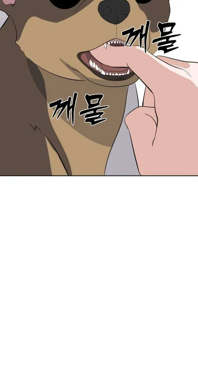 bf5019bbdf08