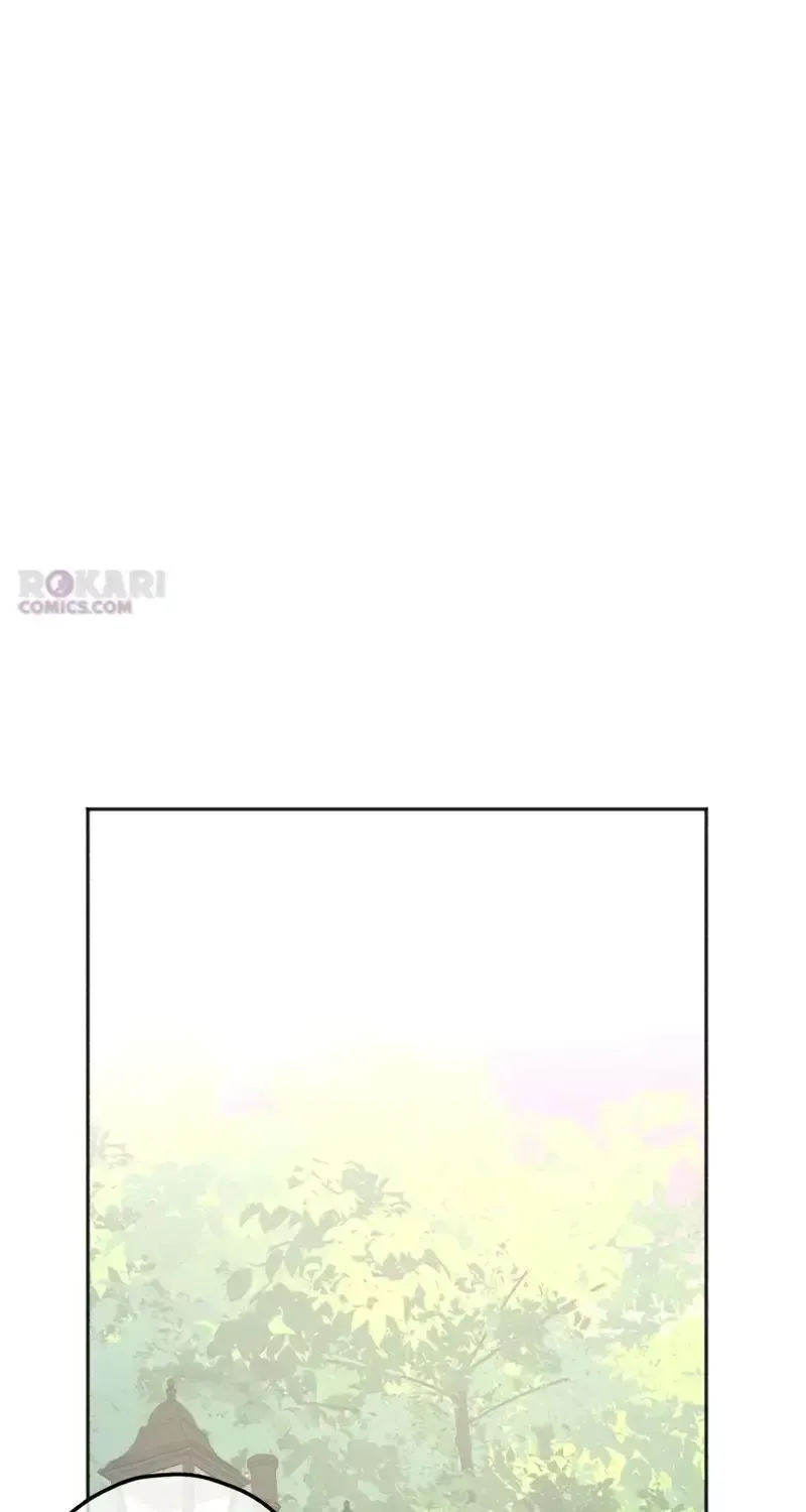 bd5aedccd663