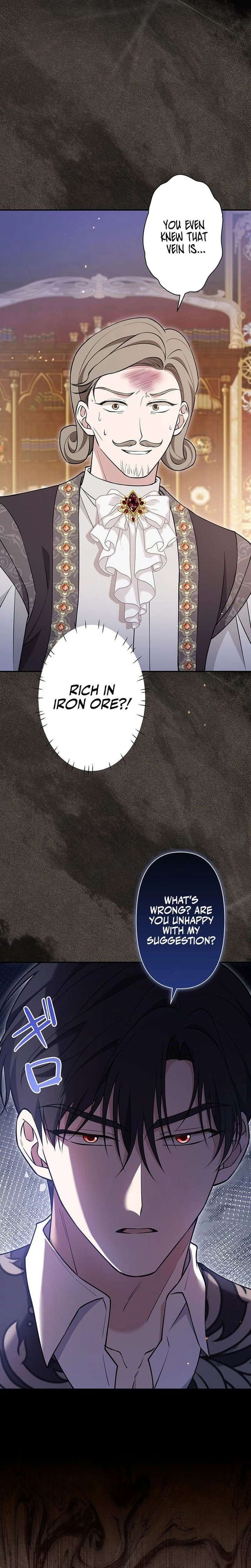 The Enemy King’s Substitute Bride Chapter 22 93 009