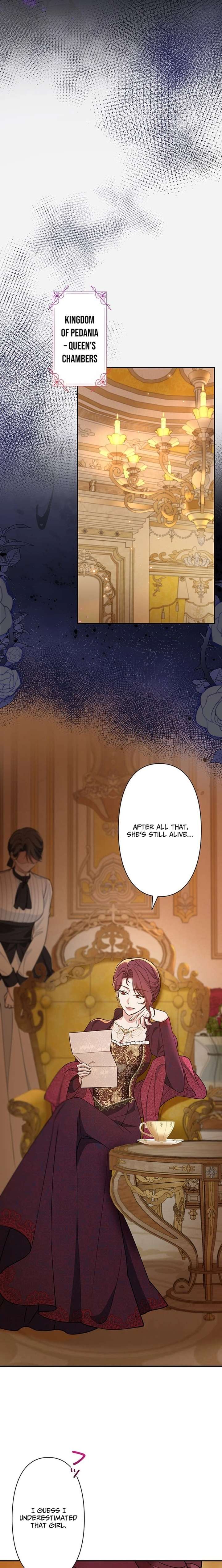 ch 28 29