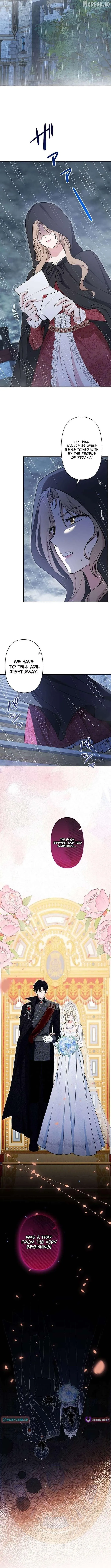 The Enemy King’s Substitute Bride Chapter 34 67 0dfea6c16269