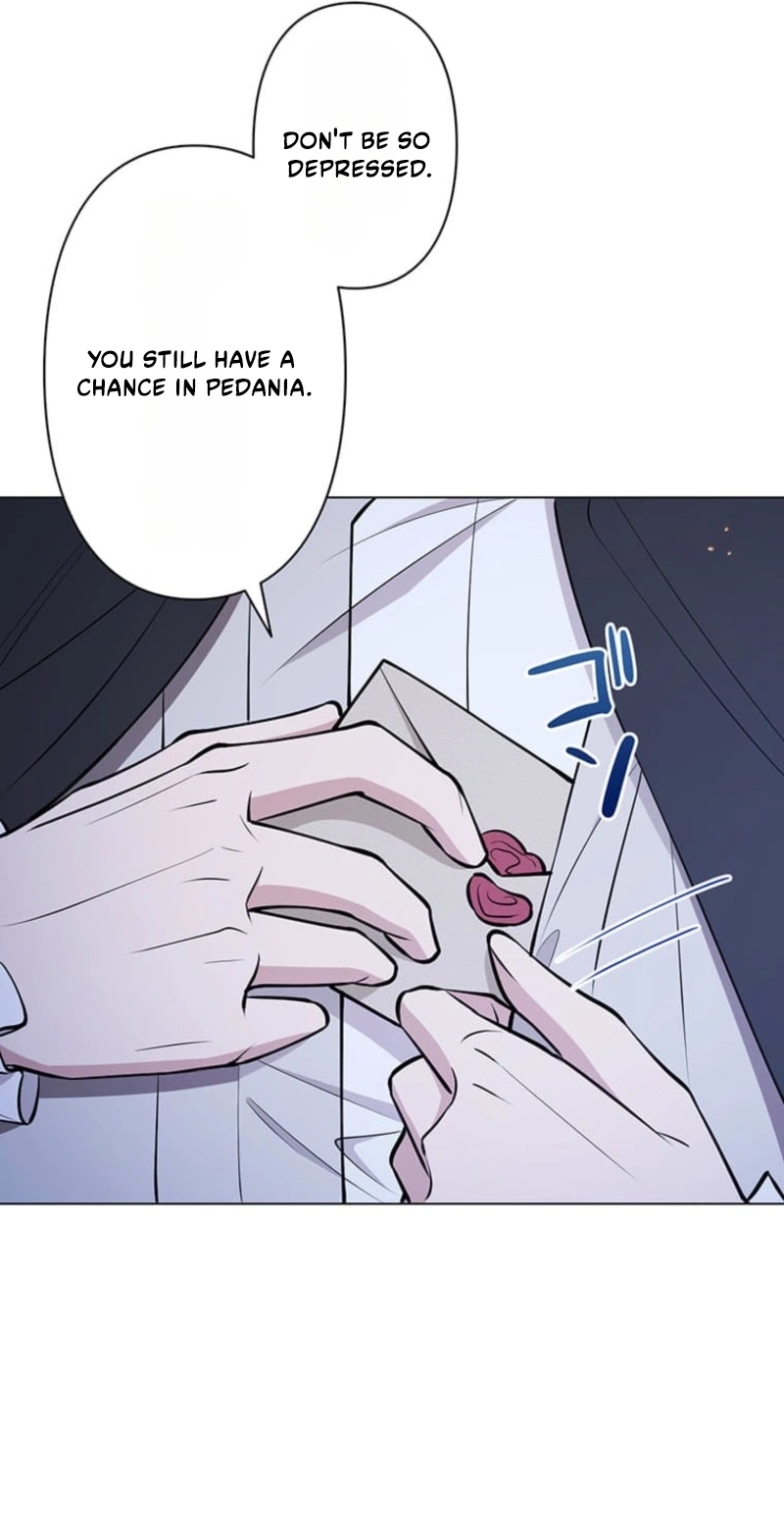 The Enemy King’s Substitute Bride Chapter 46 408 27cec6c1e5d5