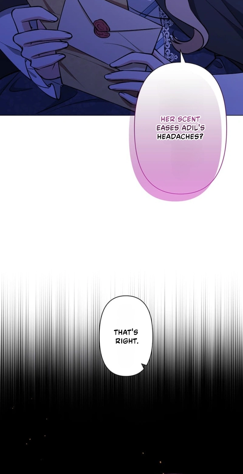 The Enemy King’s Substitute Bride Chapter 46 412 52f26e82a10d
