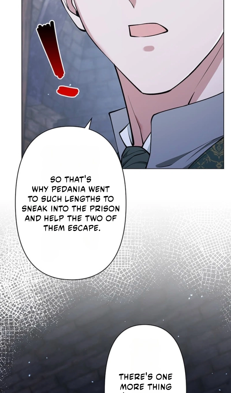 The Enemy King’s Substitute Bride Chapter 46 348 858bae955e68