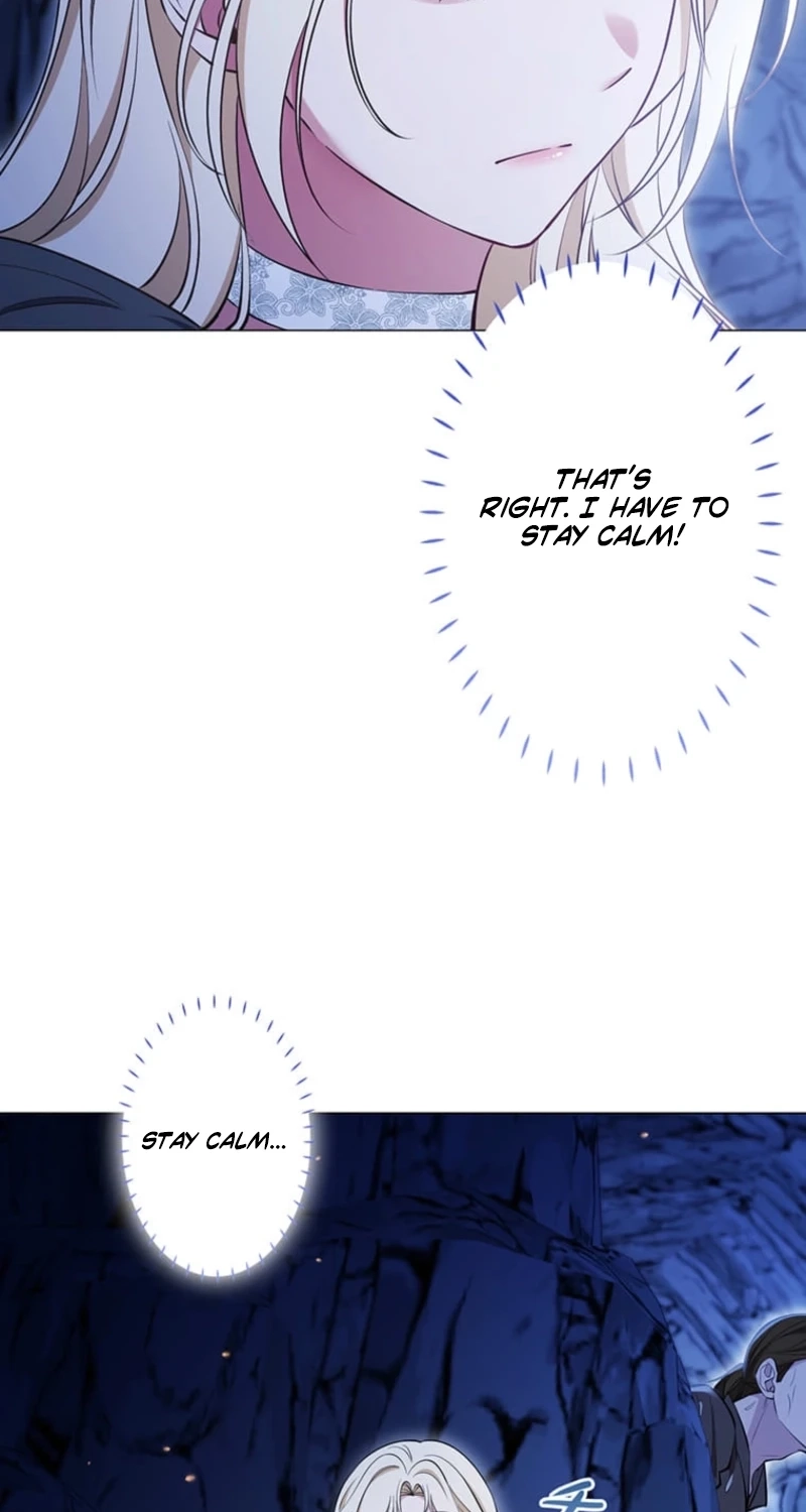 The Enemy King’s Substitute Bride Chapter 47 424 2d9a9952cd10