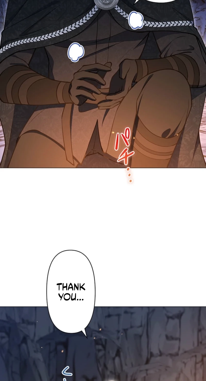 The Enemy King’s Substitute Bride Chapter 47 375 a20254373557