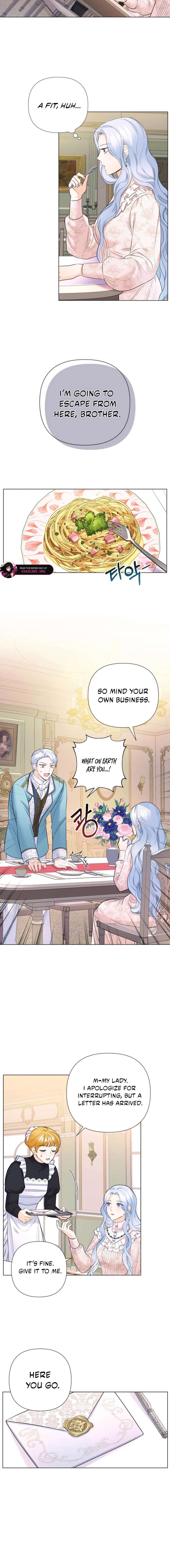 ch 16 11