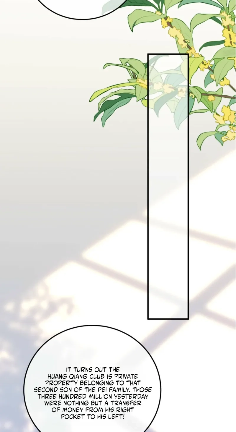 bdda6a2b2582