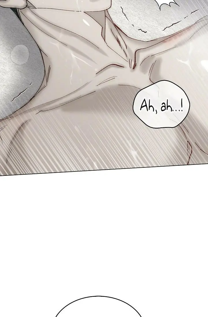 81