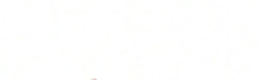 98f0c77045e6