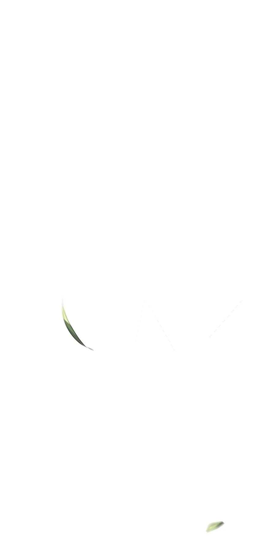 c6a2f5e8c096