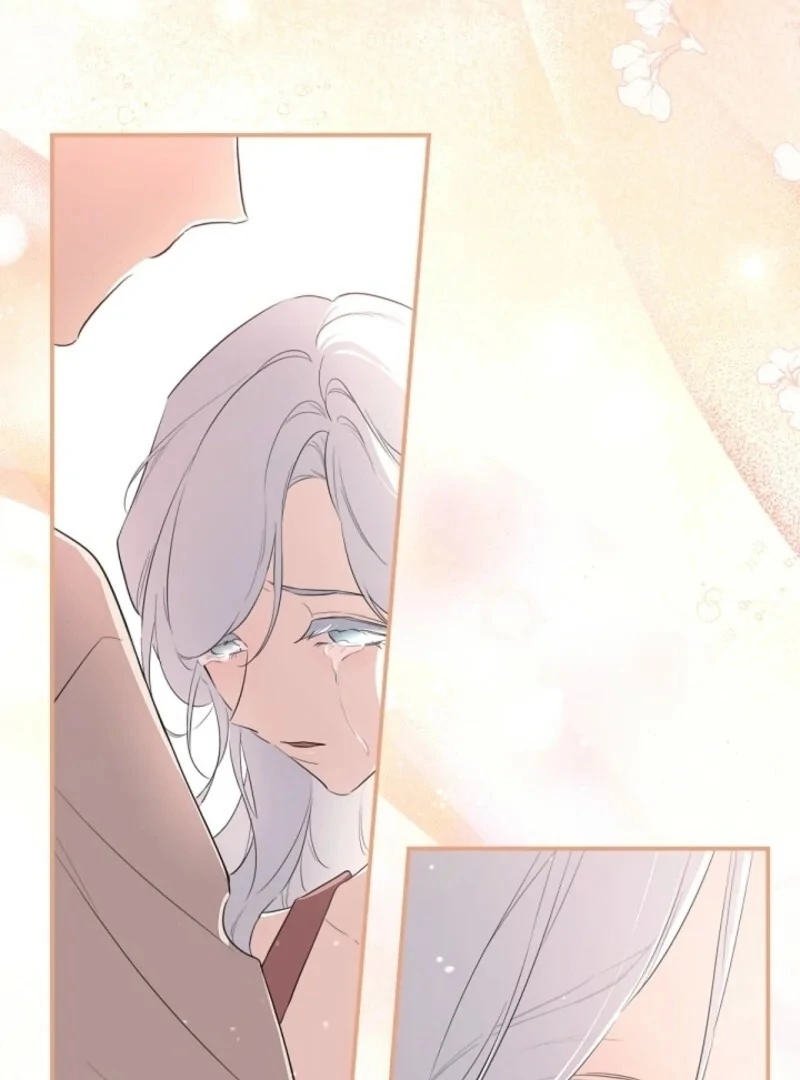 ch 142 93
