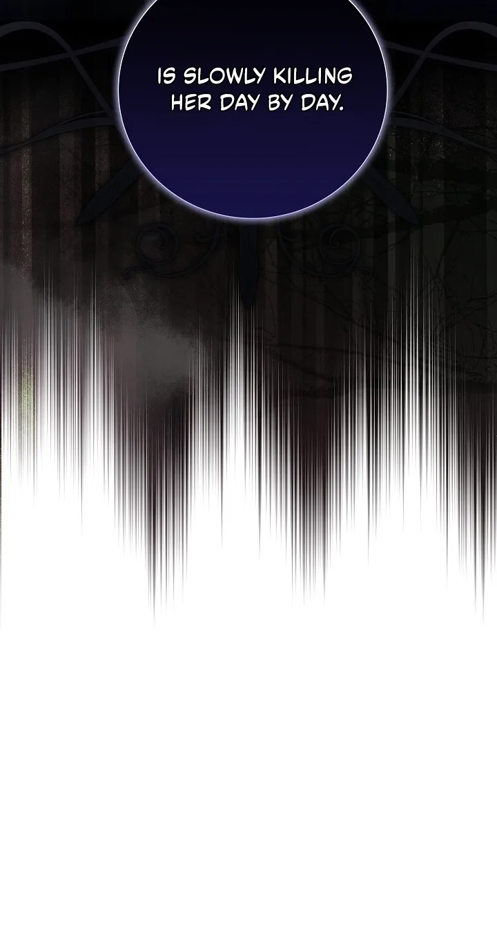 8e4165ef0d9a