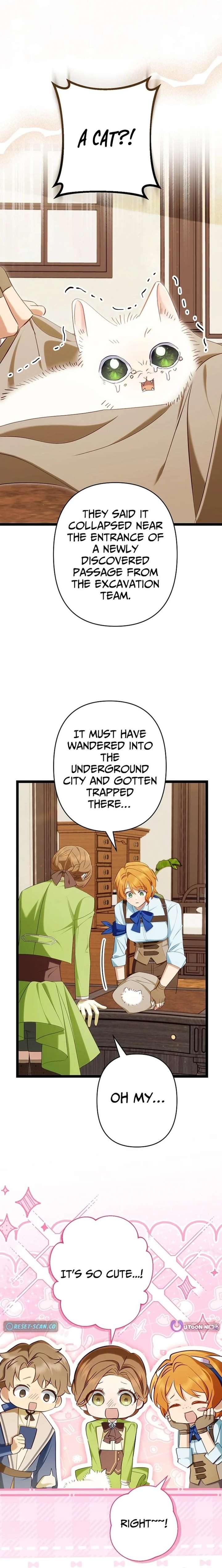 ch 25 26