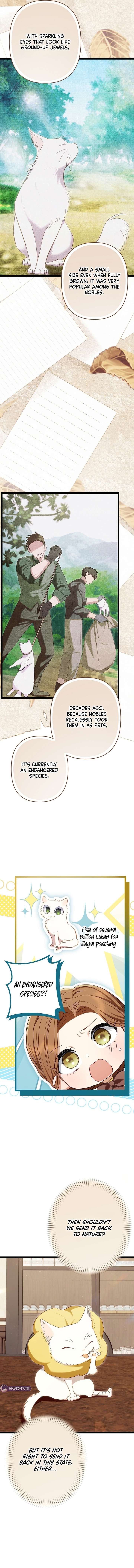 ch 26 3