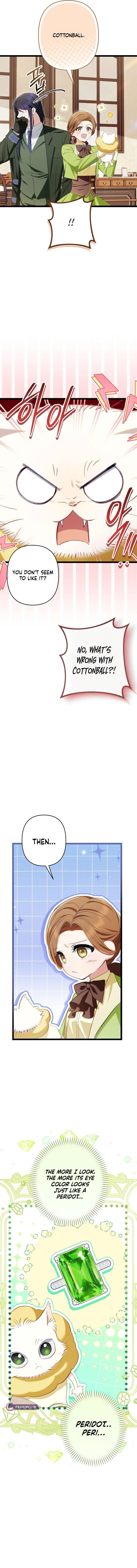 ch 26 6