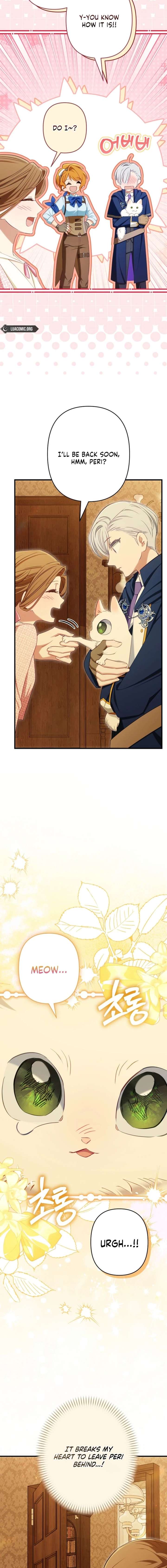 ch 28 19