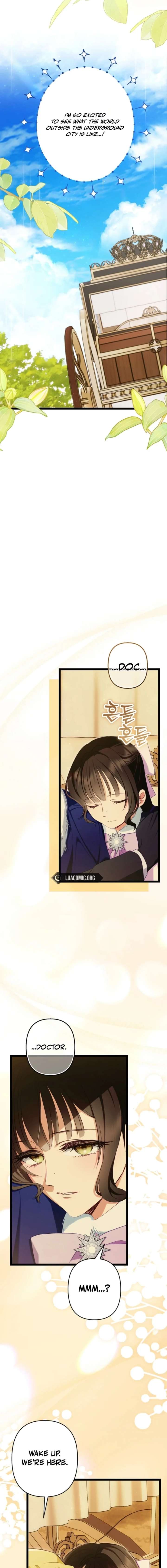 ch 29 20