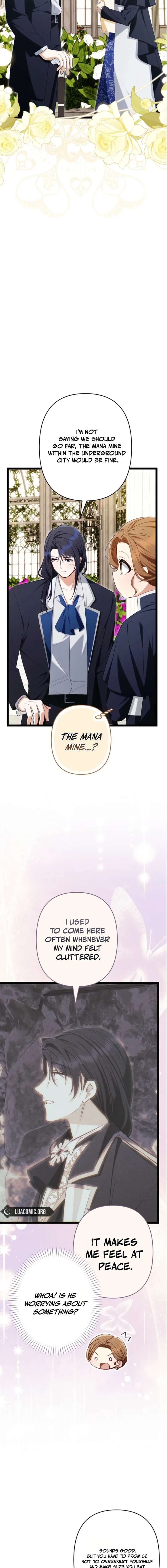 ch 33 19