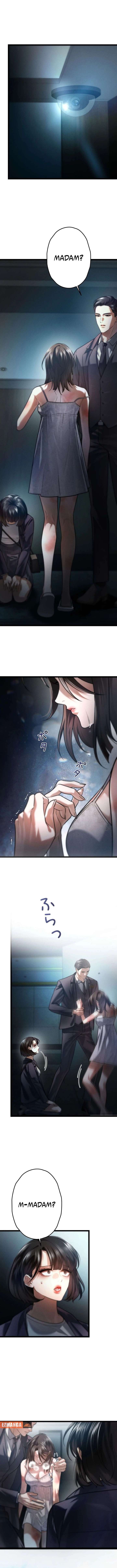 ch 19 2