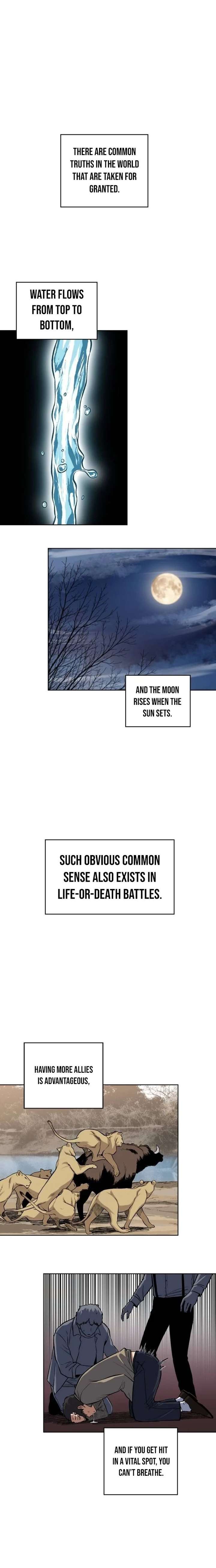 The Limit-Breaking Partner Chapter 3 95 ch 3 2