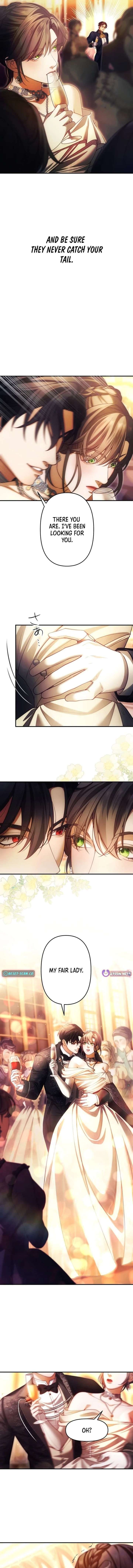 ch 20 11