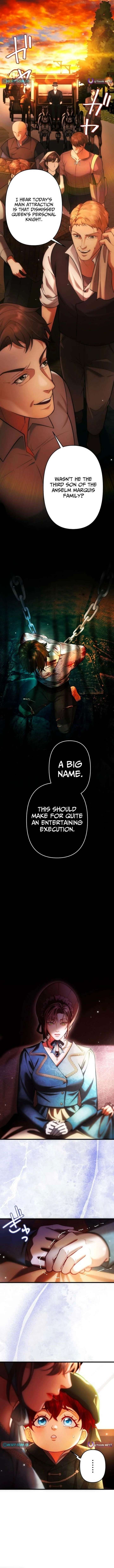 ch 23 3