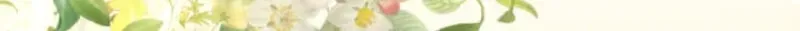 5b5fb37665db