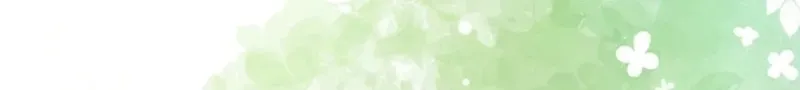 110 webp