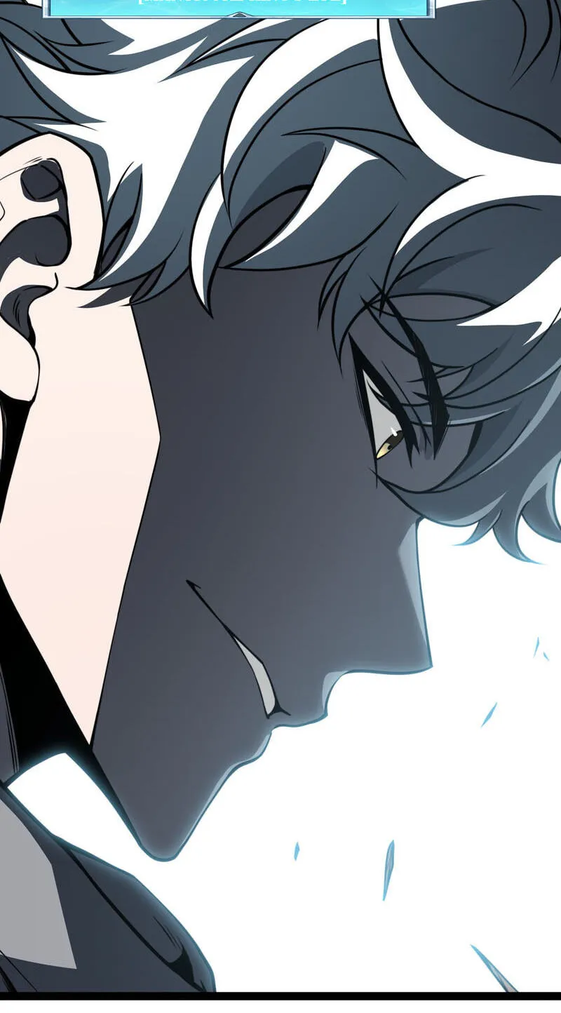 Rebirth of the Thief Who Roamed the World Chapter 34 252 b1b43fb100ea