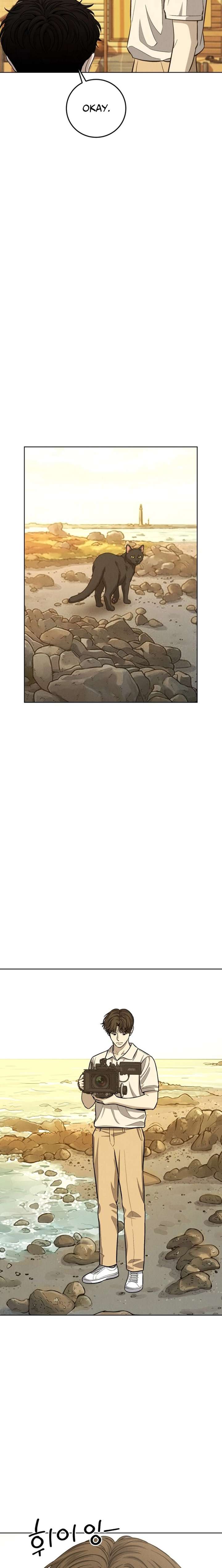 ch 12 16