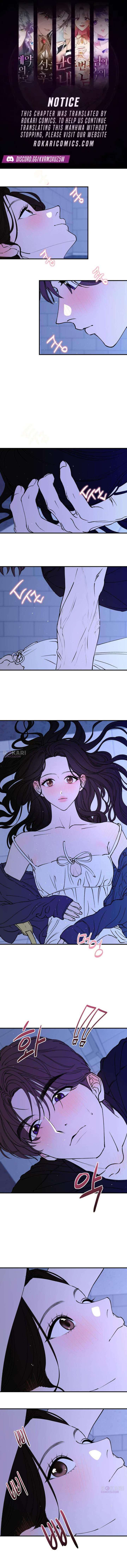 ch 15 1