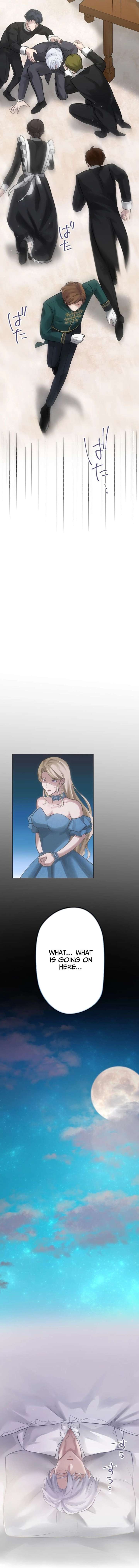 ch 16 14