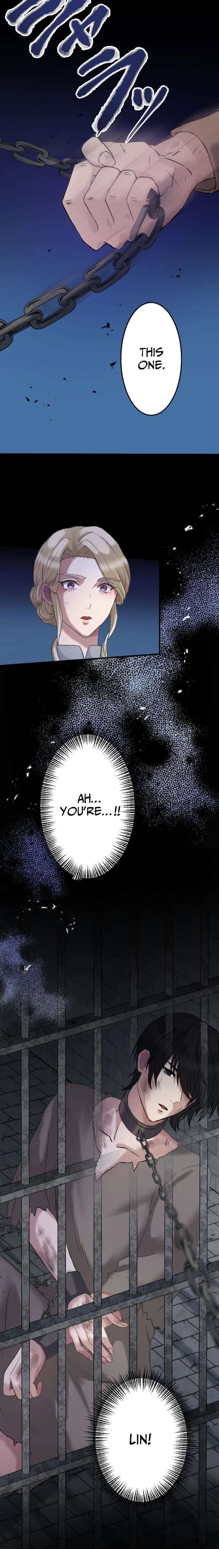ch 4 15