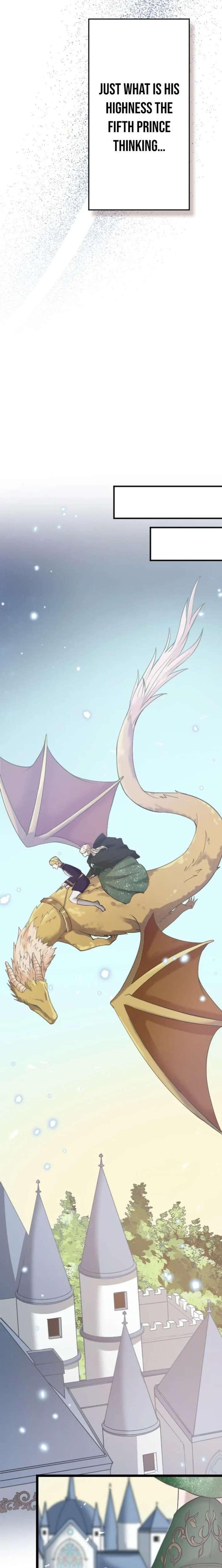 ch 5 4