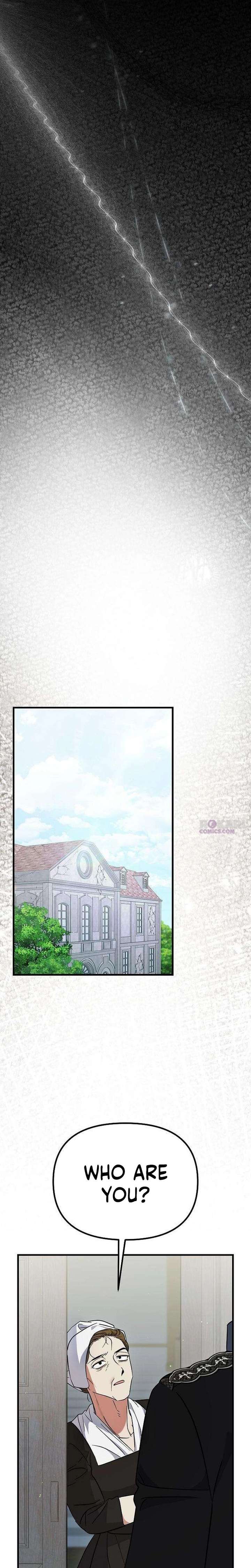 ch 16 11