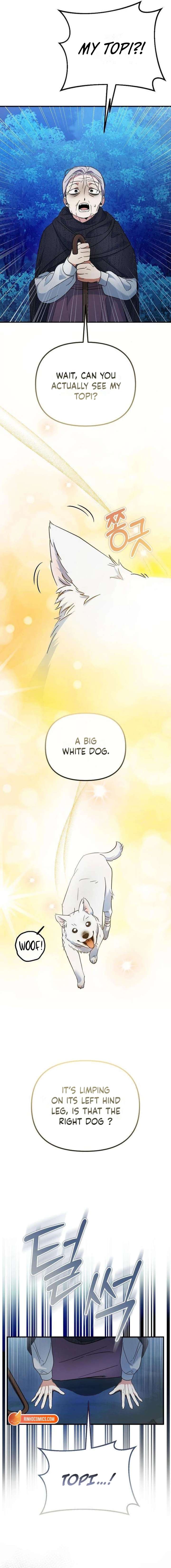 ch 19 11